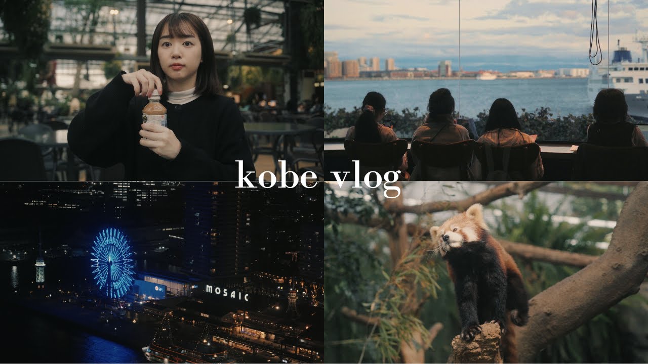 一個人玩神戶｜中華街、動物王國、港口夜景、神戶牛丼飯｜japan vlog
