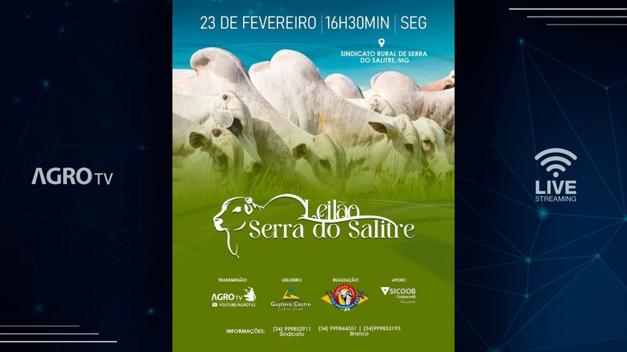 LEILÃO SERRA DO SALITRE - 23/02/2026