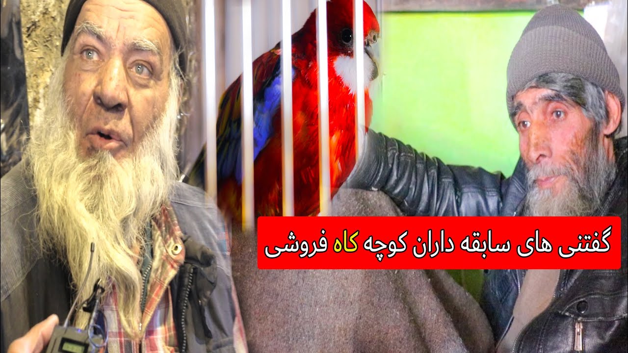 کوچه کاه فروشی ، کوچه ای قدیمی و تاریخی در کابل -  Historical street in Kabul city  KOCHA KAH FROSHI