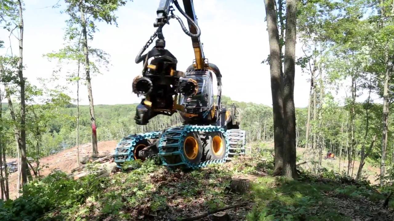 Steep slopes logging in USA