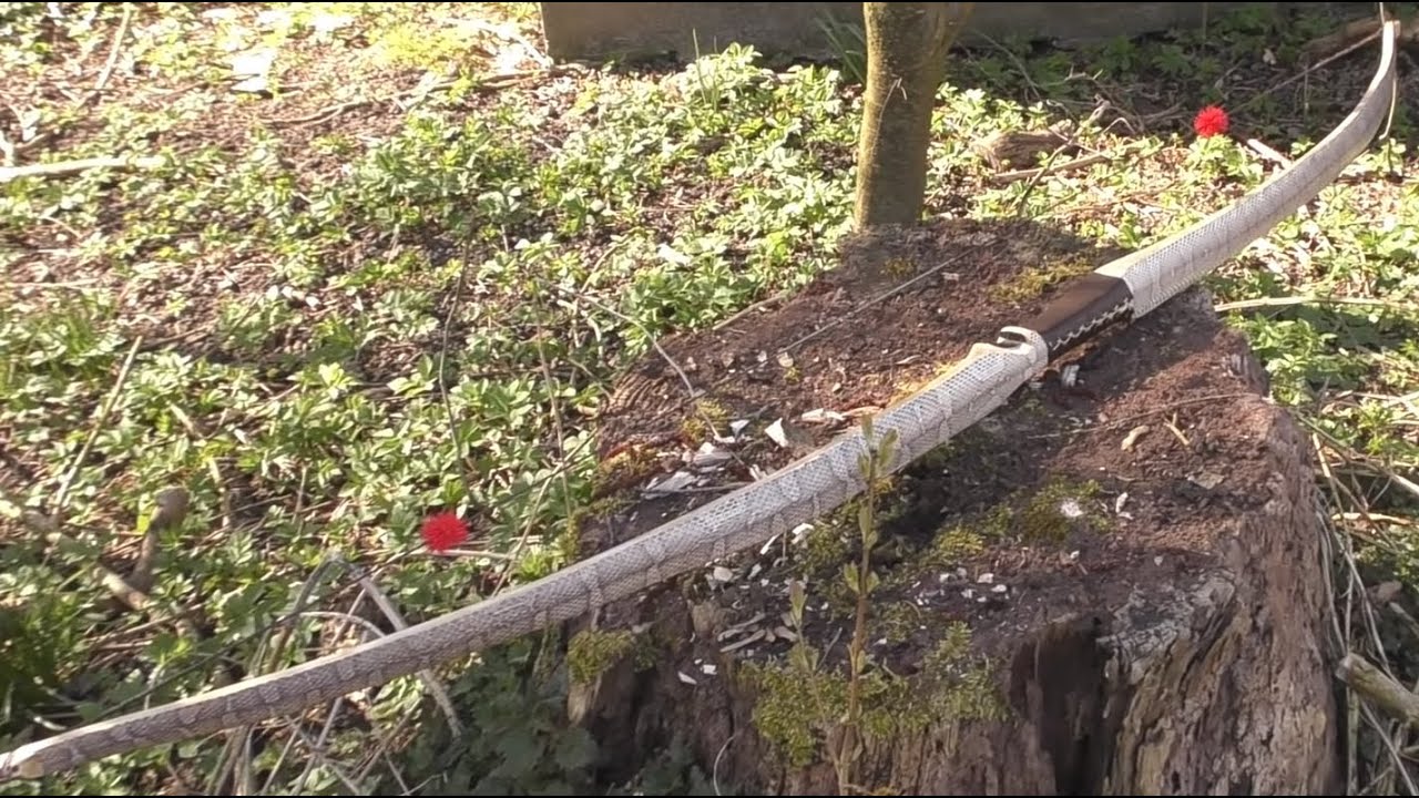 DIY - Have you ever considered, making your own hunting bow? - Bow building, Part 2