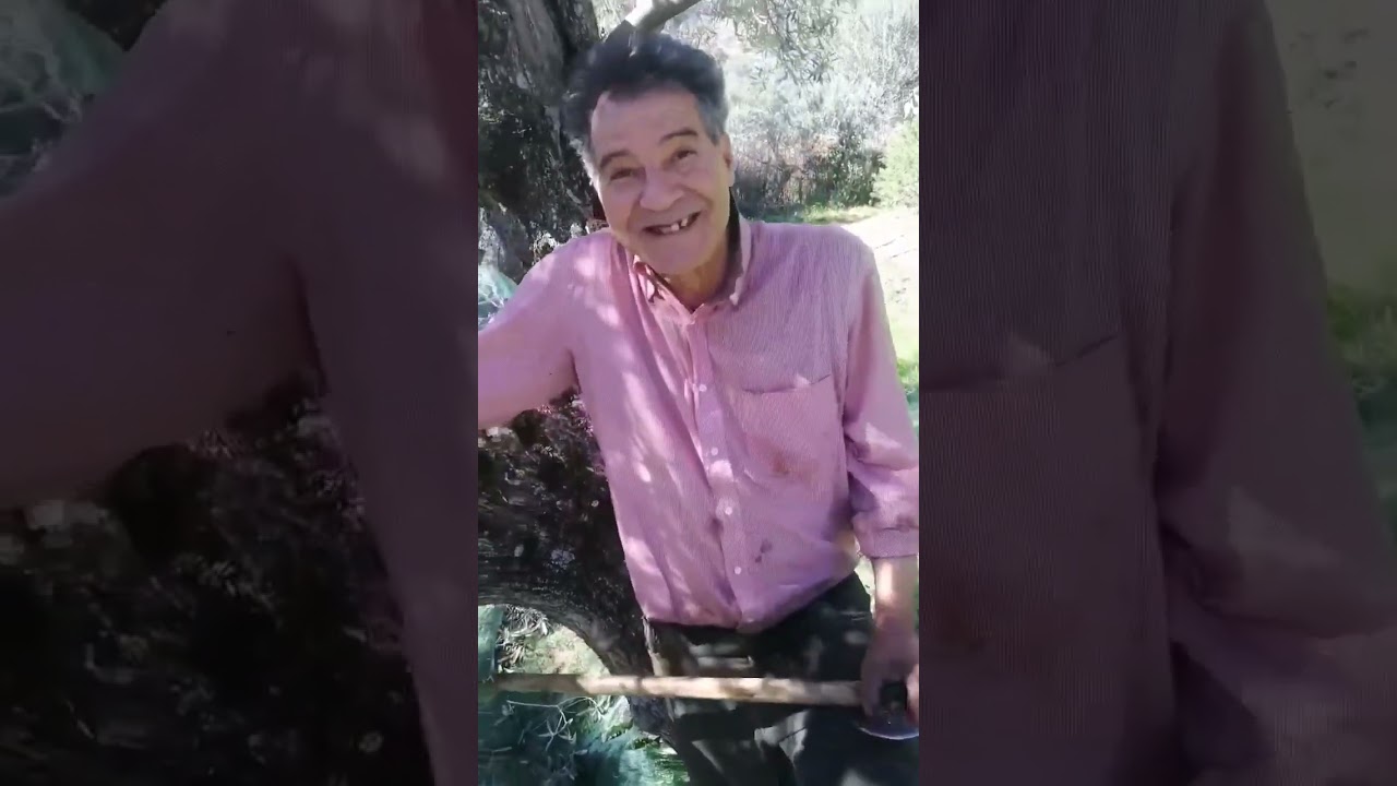 LE  ROI  ET  SA  FILLE
