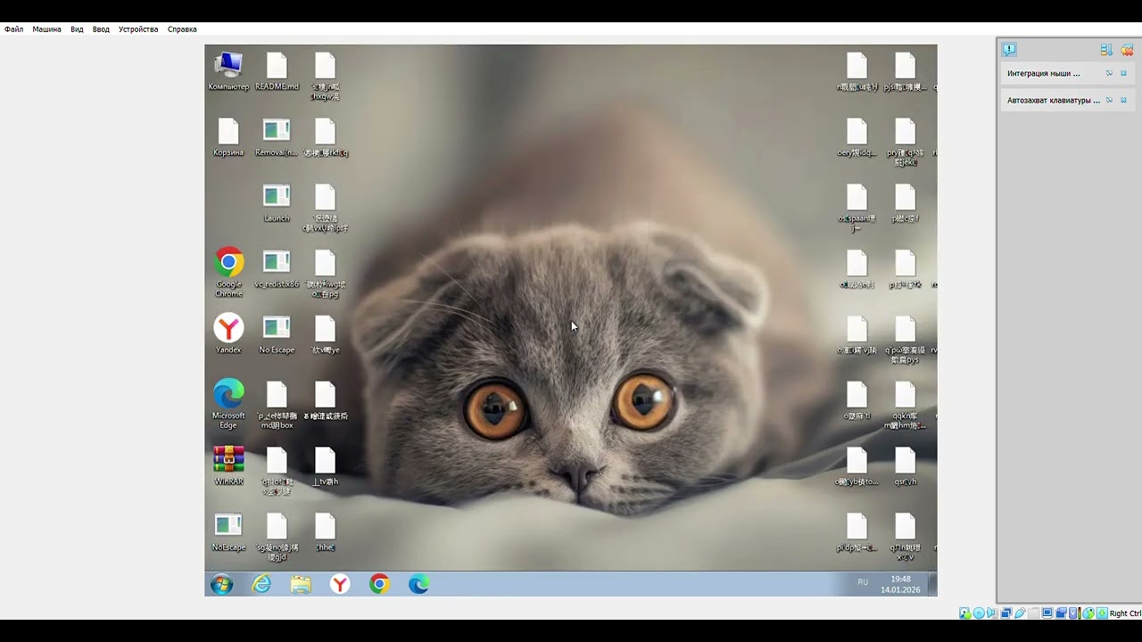 no escape on win 7
