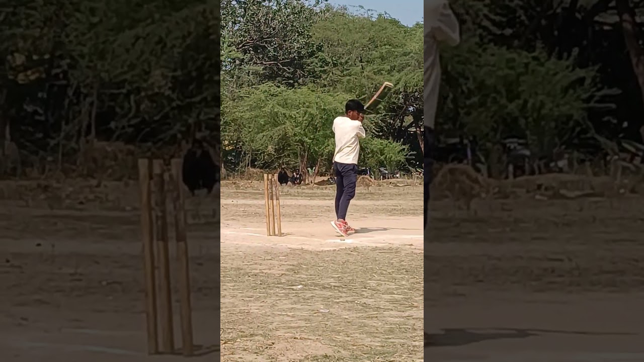 Cricket 