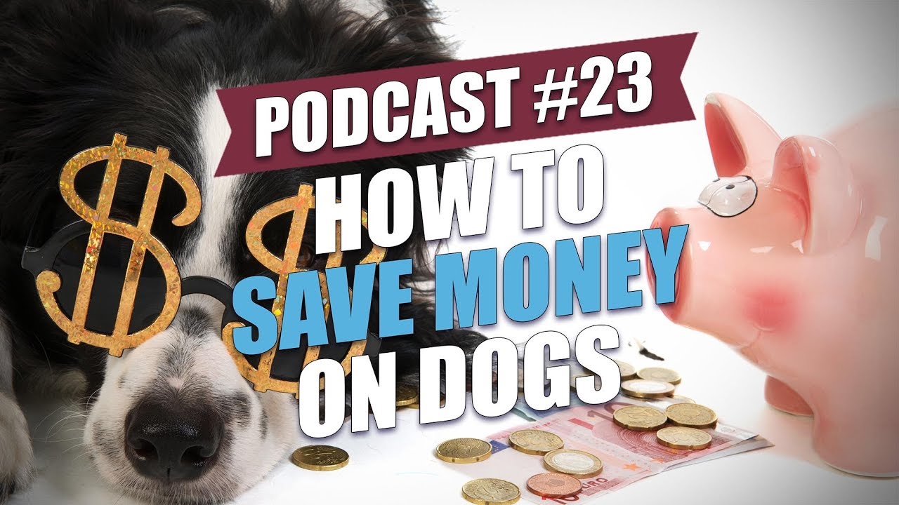 TOP #23: How to Save Money on Dogs
