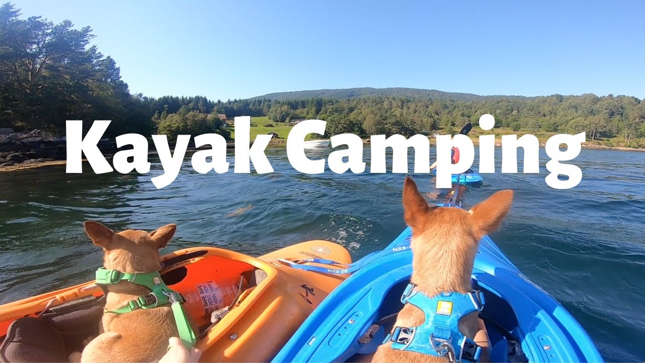 Kayak Camping With The Dogs