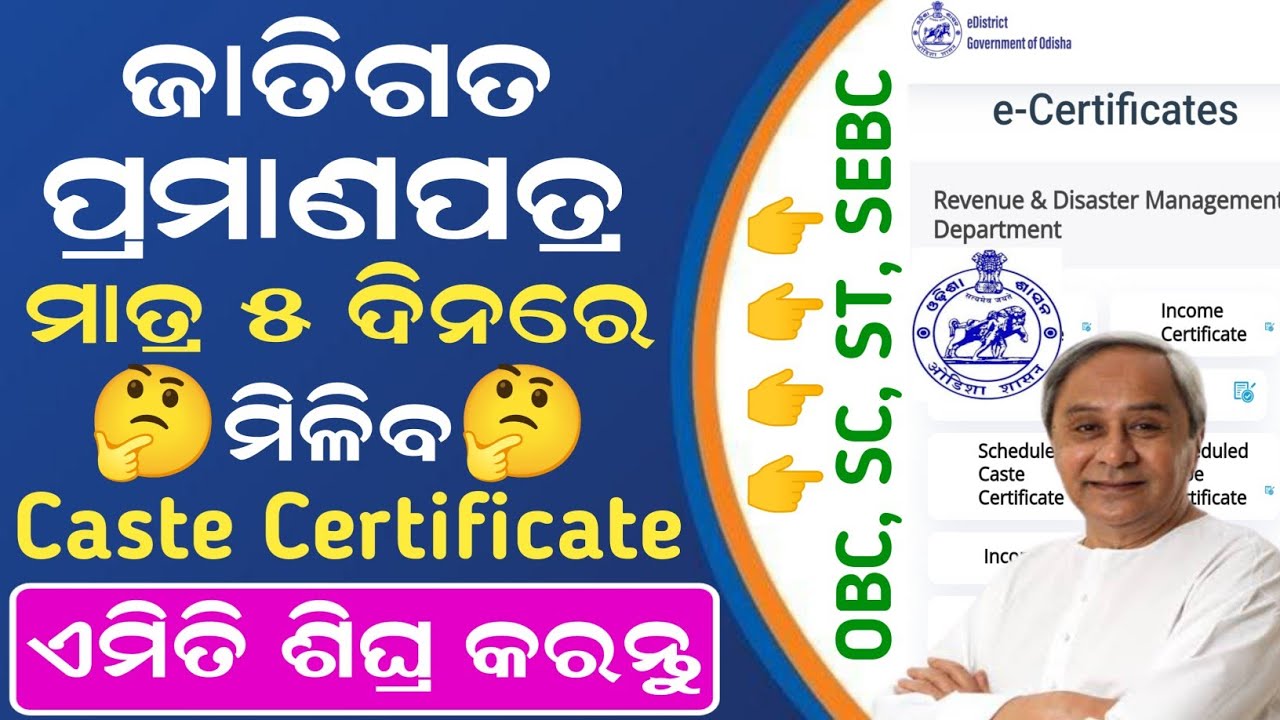 How to Apply Caste Certificate Online || Caste Certificate Online Apply Odisha | OBC SEBC SC ST 2024