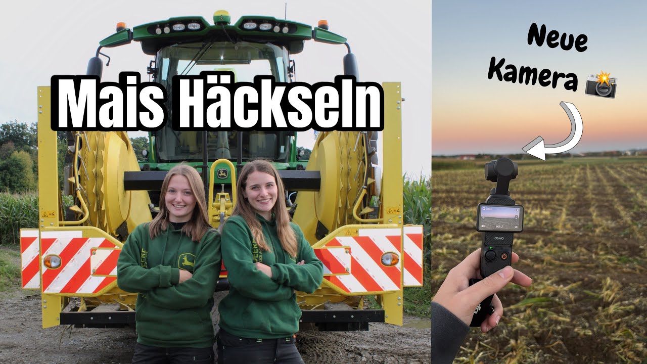 Воспоминания: сбор кукурузы с девочками Лонер 🌽🚜