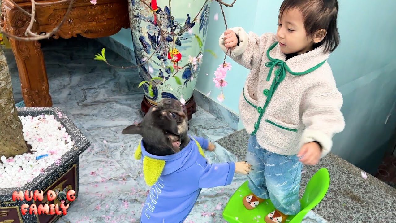 Why did Diem and Mun destroy their father's peach tree?