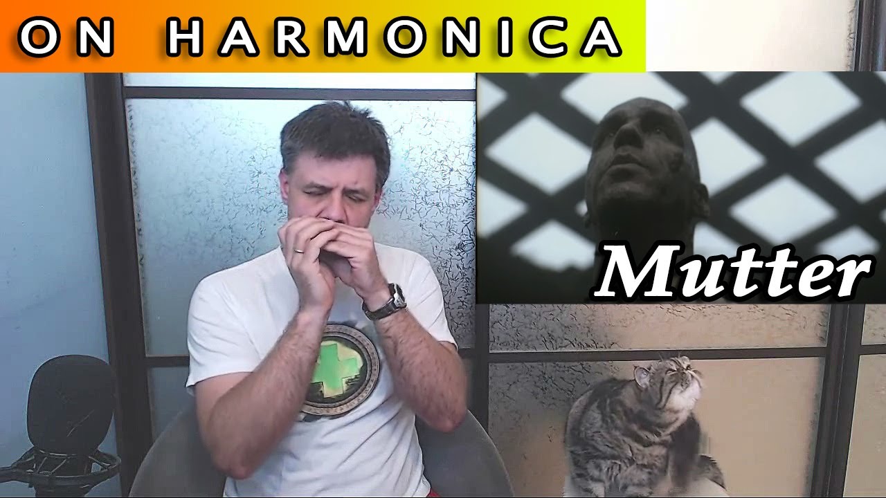 Mutter on the harmonica (Rammstein's cover)