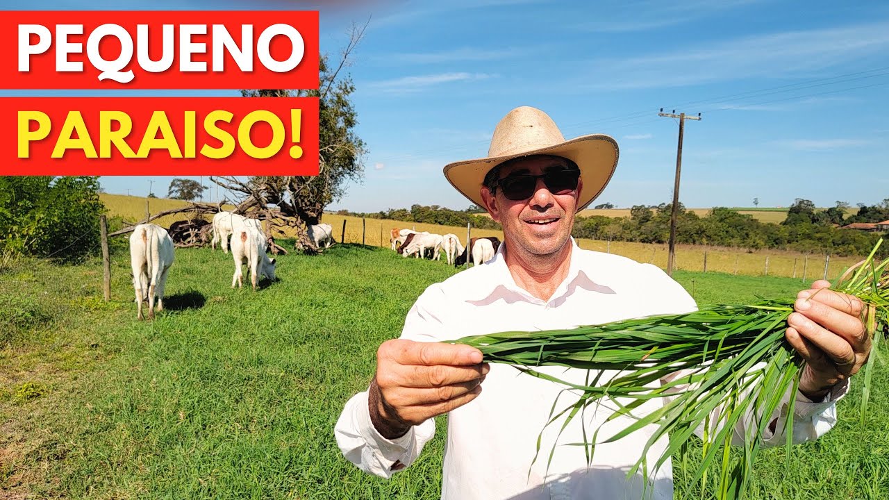 18 ANIMAIS em 1,2 HECTARES! Um Pequeno Paraiso com suas INCRÍVEIS adaptações na Pastagem.