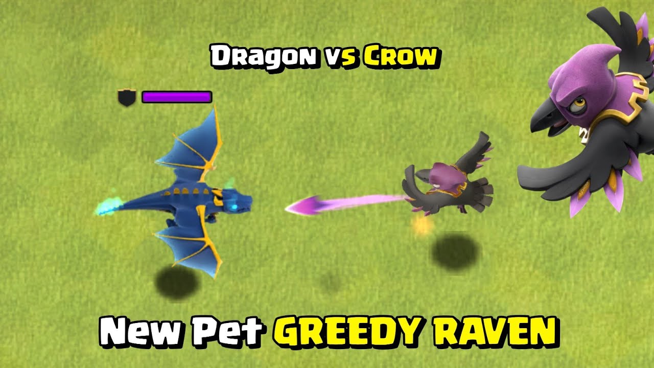New Pet Greedy Raven VS Every Max Troop! Clash of Clans