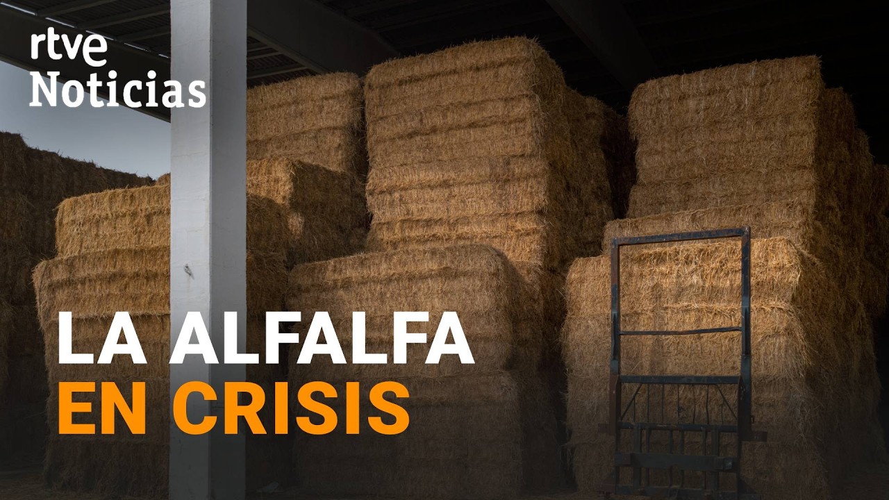 La ALFALFA, VÍCTIMA del BLOQUEO del ESTRECHO de ORMUZ | RTVE Noticias