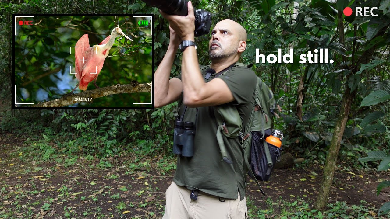 Photographer tries to become a Costa Rica nature videographer [Nikon Z8 Nikkor 400mm 4.5]