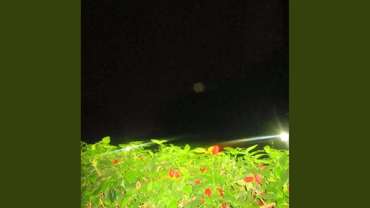 chulina