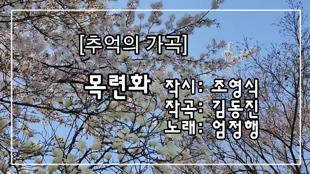추억의 가곡 | 목련화 | 조영식 작시 | 김동진 작곡 | 엄정행 노래