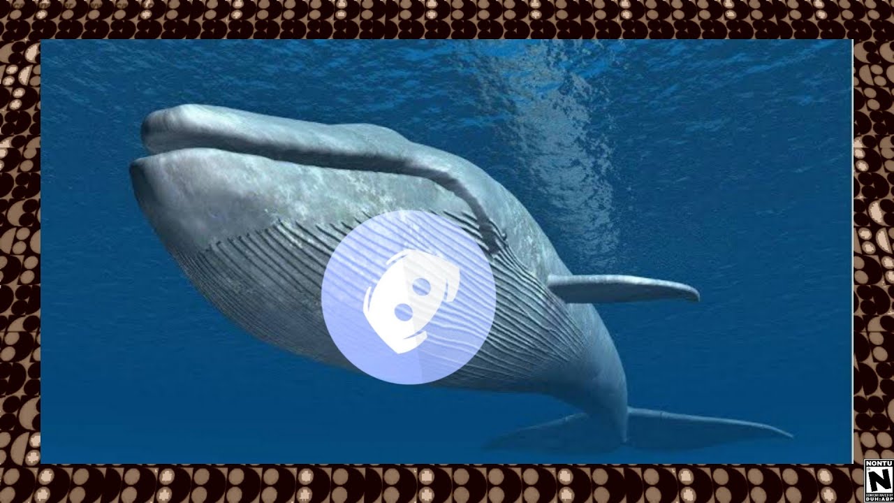 Episode 119 - Discord is the new Blue Whale?