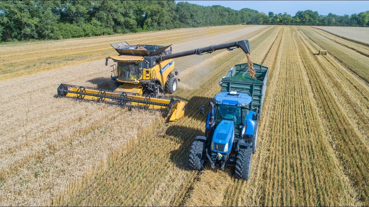 New Holland CR10.90 | Búza Aratás 2019 | New Holland AgriCulture