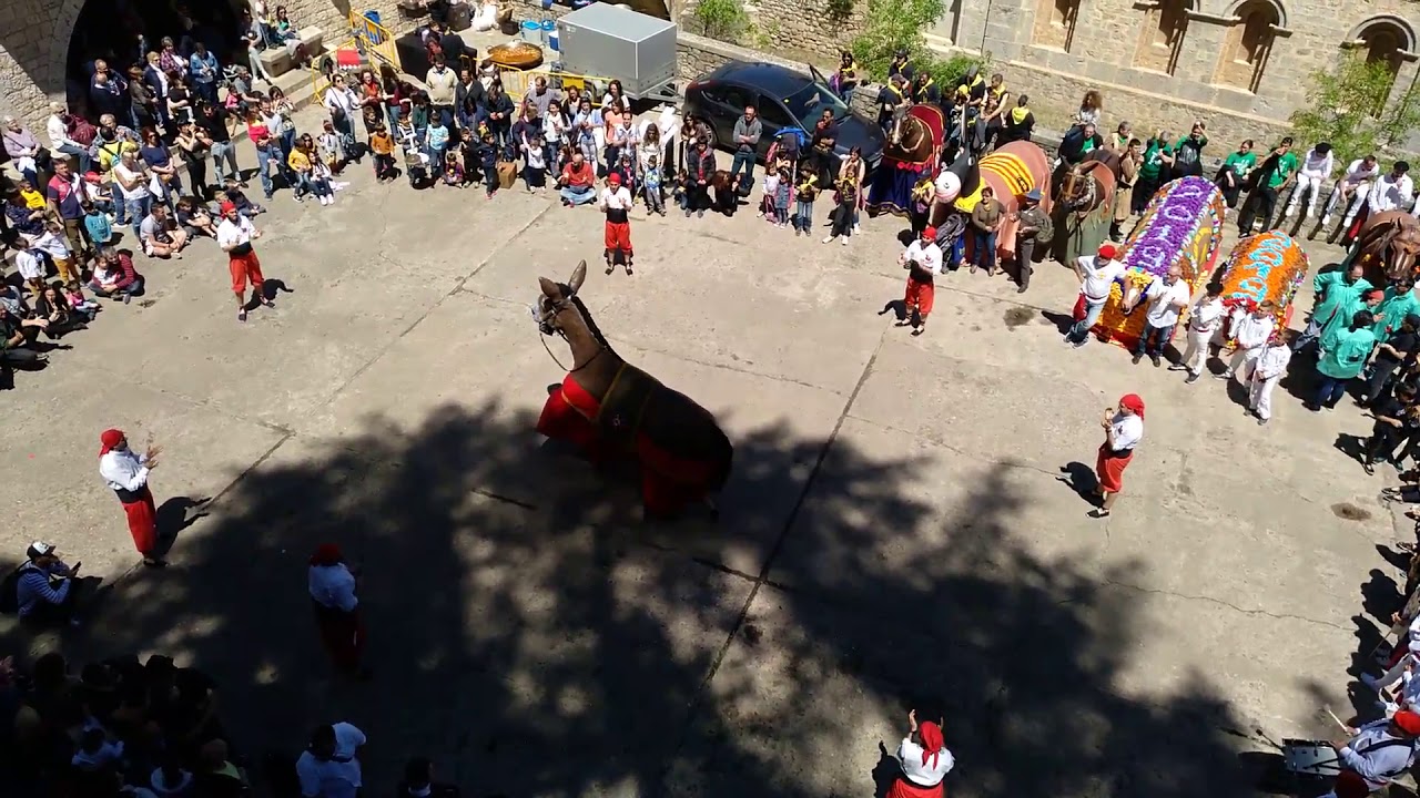 5 anys de la Mula Baba de Girona - Ball de la Mulassa de Manacor (II)
