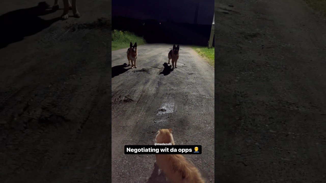 I Left Coco With The Opps 🏃