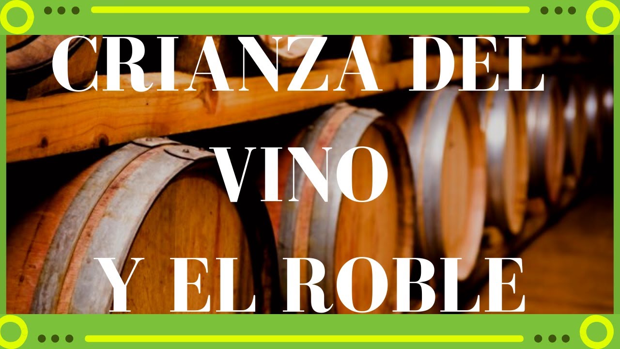 CRIANZA del VINO 🍷 y el ROBLE [EXPLICADO✅][Curso de Vinos🍷]