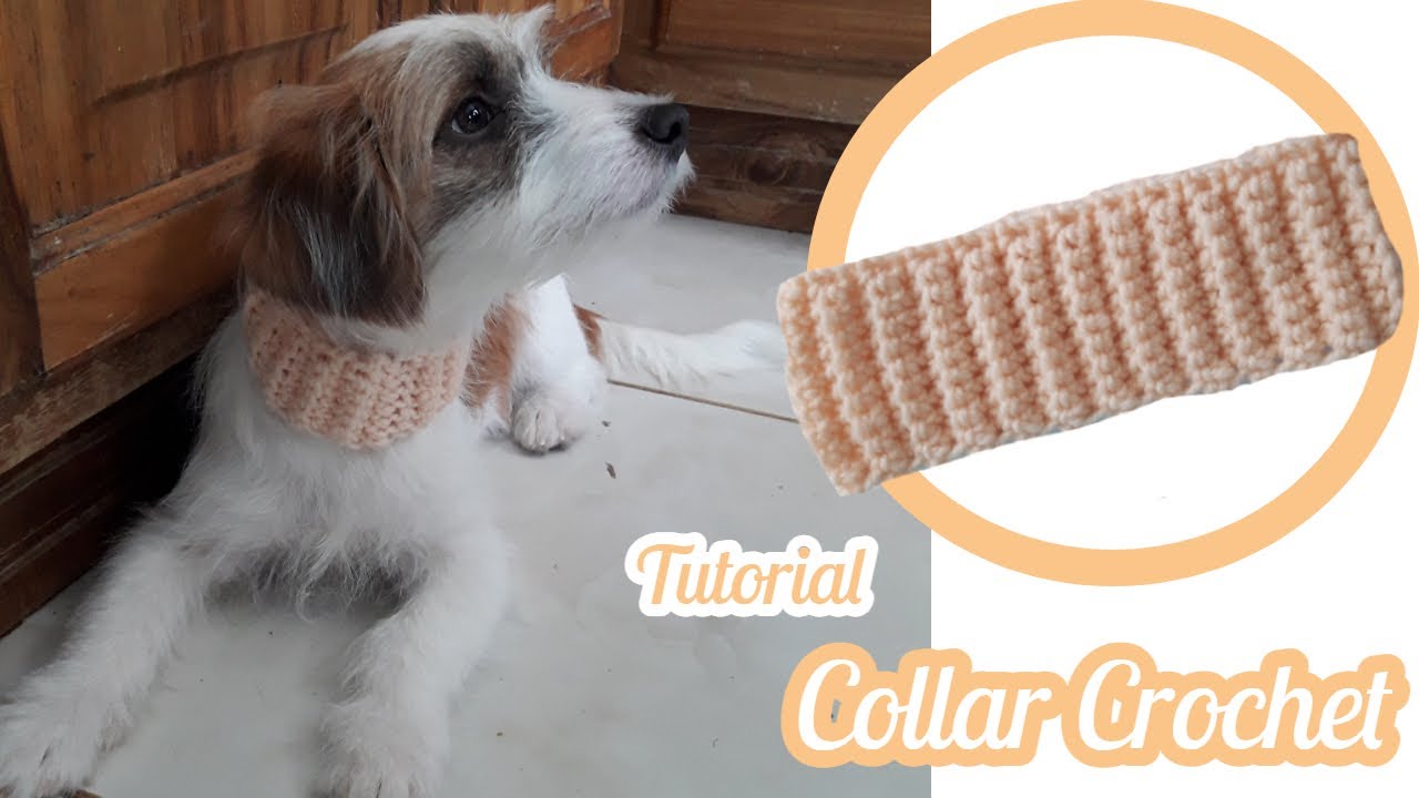Collar para Perros y Gatos a Crochet 🐶🐱| Todas las tallas / Enredados entre Hilos