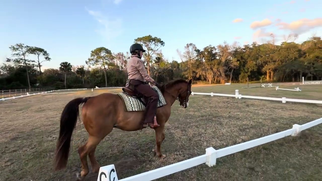 WDAFL Gingerbread Jubilee INT-A Intro Test 1 Amateur