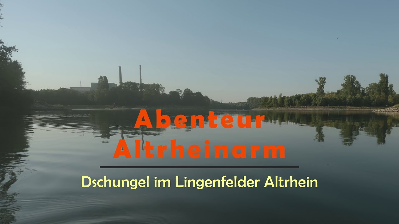 Abenteuer Altrheinarm: Dschungel im Lingenfelder Altrhein