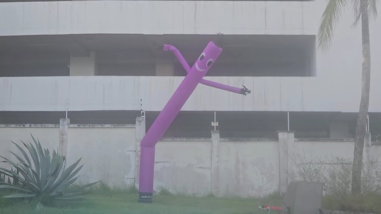 Skydancer