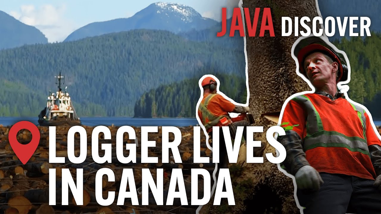 The Real Lives of Loggers in Canada: From Forest to Factory | Canadian Lumberjack Documentary