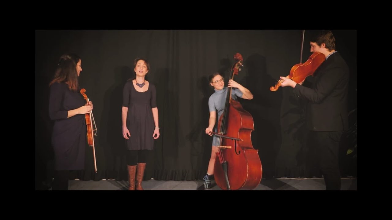Ritka Zenekar - Táncrend Alsó-Aranyos mentéről tánctanításhoz
