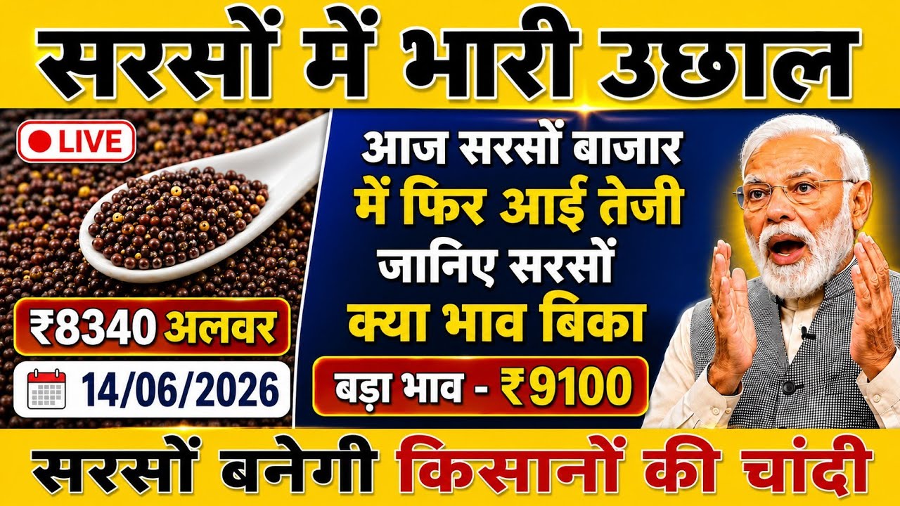 🚀 सरसों बाजार में फिर आई तेजी | अलवर में ₹8340 भाव | सरसों बनेगी किसानों की चांदी | Sarso Bhav Today