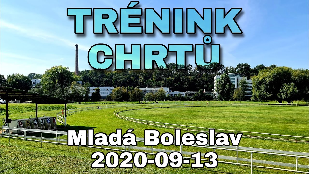 trénink chrtů 2020-09-13 Mladá Boleslav