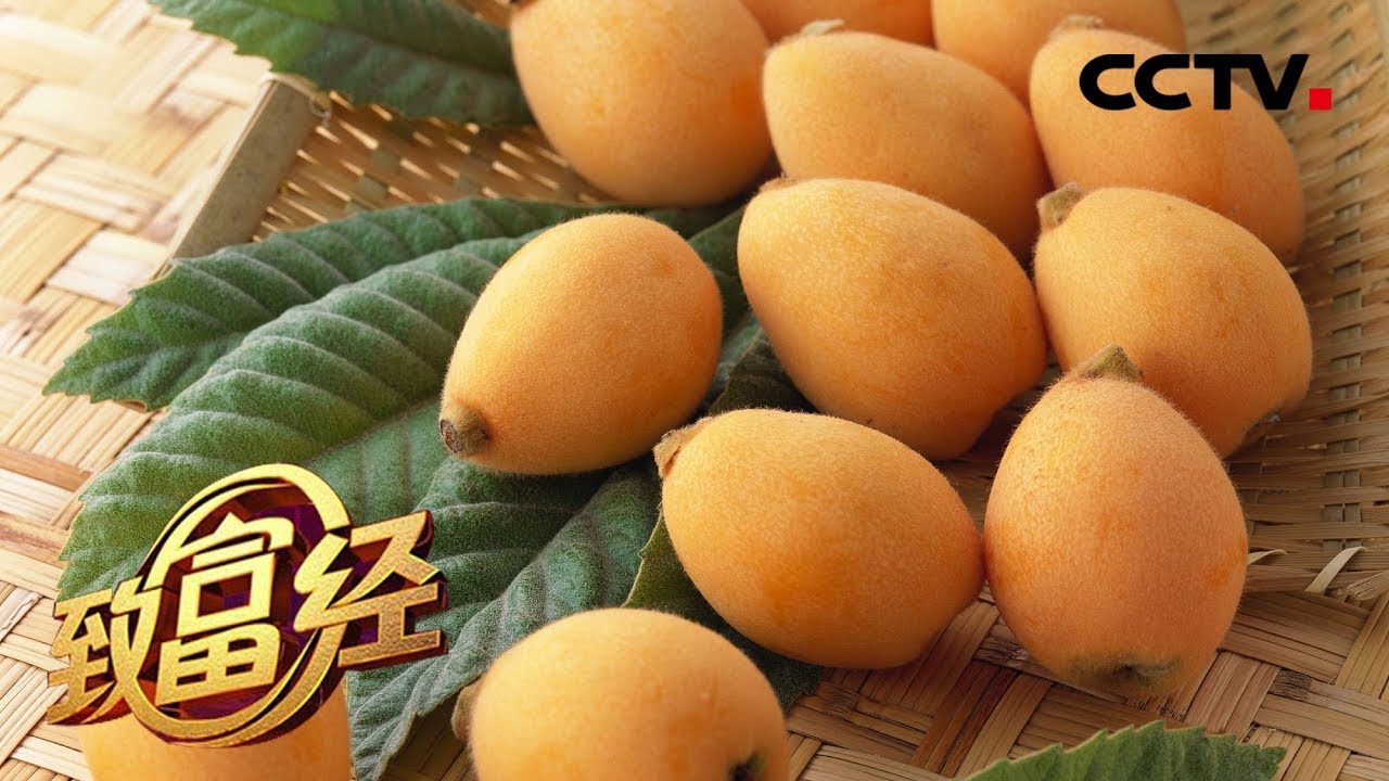 《致富经》 海归姑娘改变农场模式 扭亏为盈一年卖出1700万 20190802 | CCTV农业