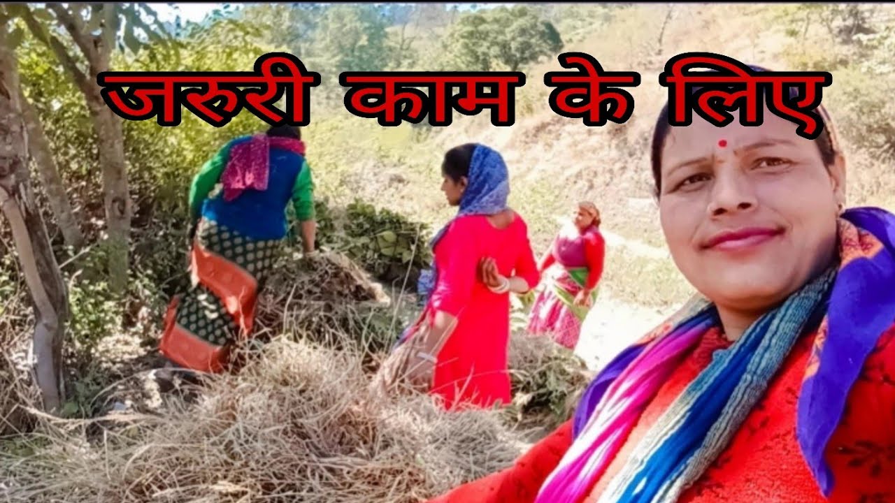 आज का हमारा काम इस प्रकार ll पहाड़ी life style Suman Rawat vlog पाली 