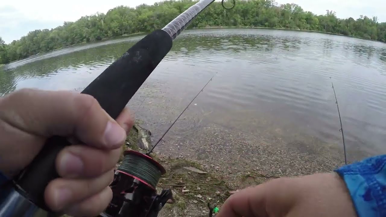 A Very Special Rare Catch