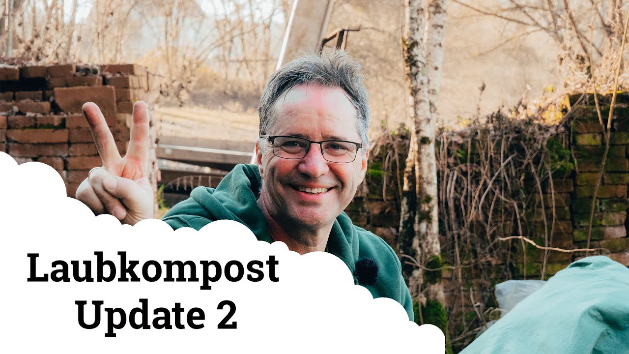 Laub Kompostierung | Update 2