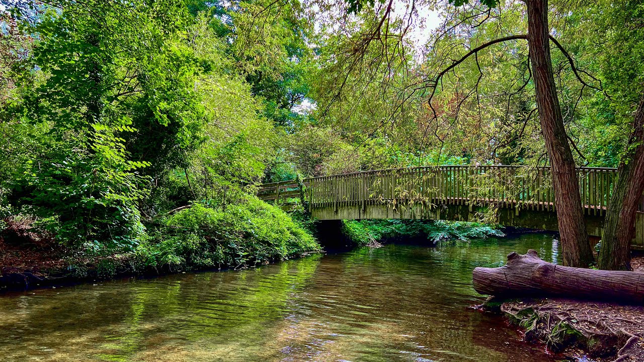 Walks in Kent. Shoreham to Lullingstone Park.