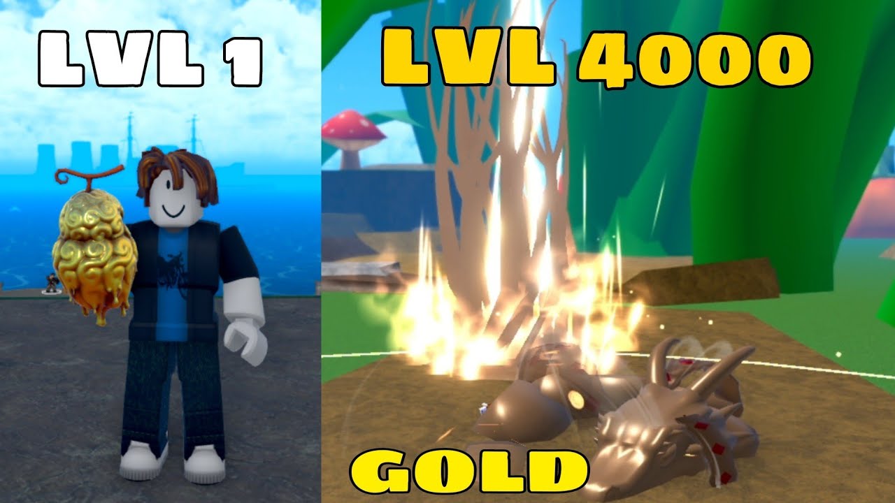 Noob Uses Gold ( Devil Fruits ) I Reached Level Max In King Legacy