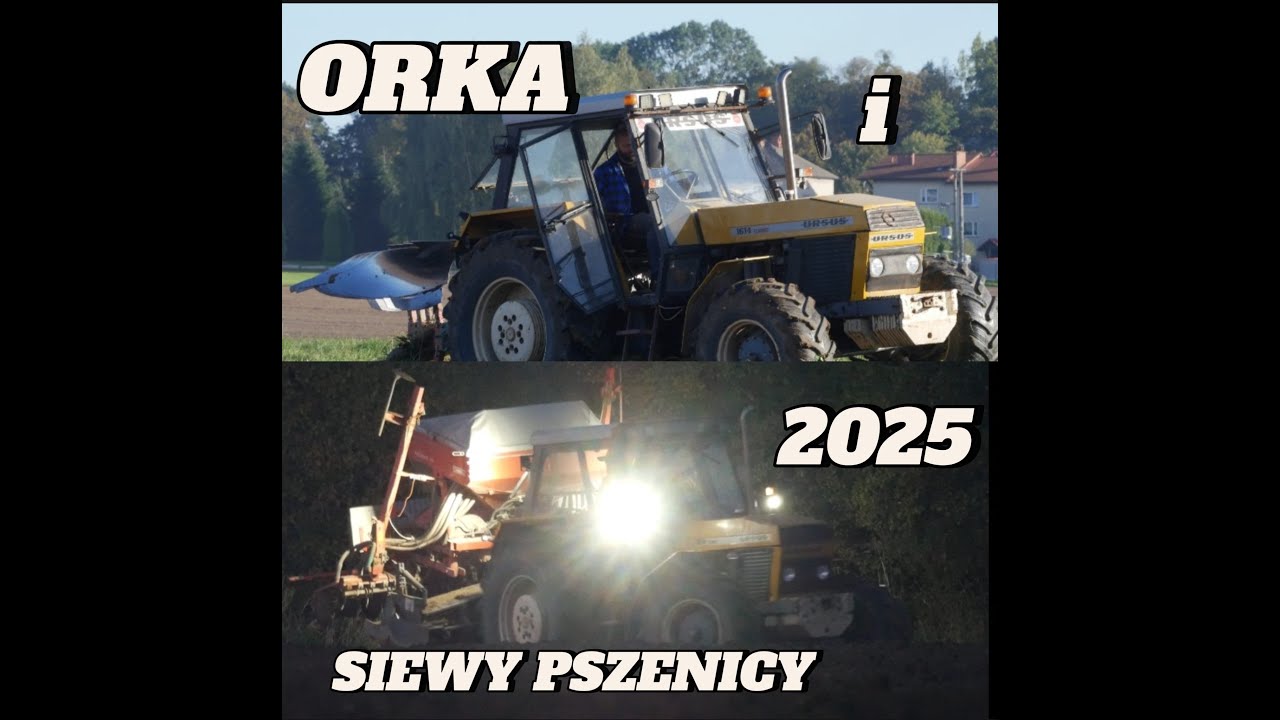 🔥ORKA I SIEWY PSZENICY 2025🔥 URSUS 1614 & KEVERLAND W AKCJI💪💪