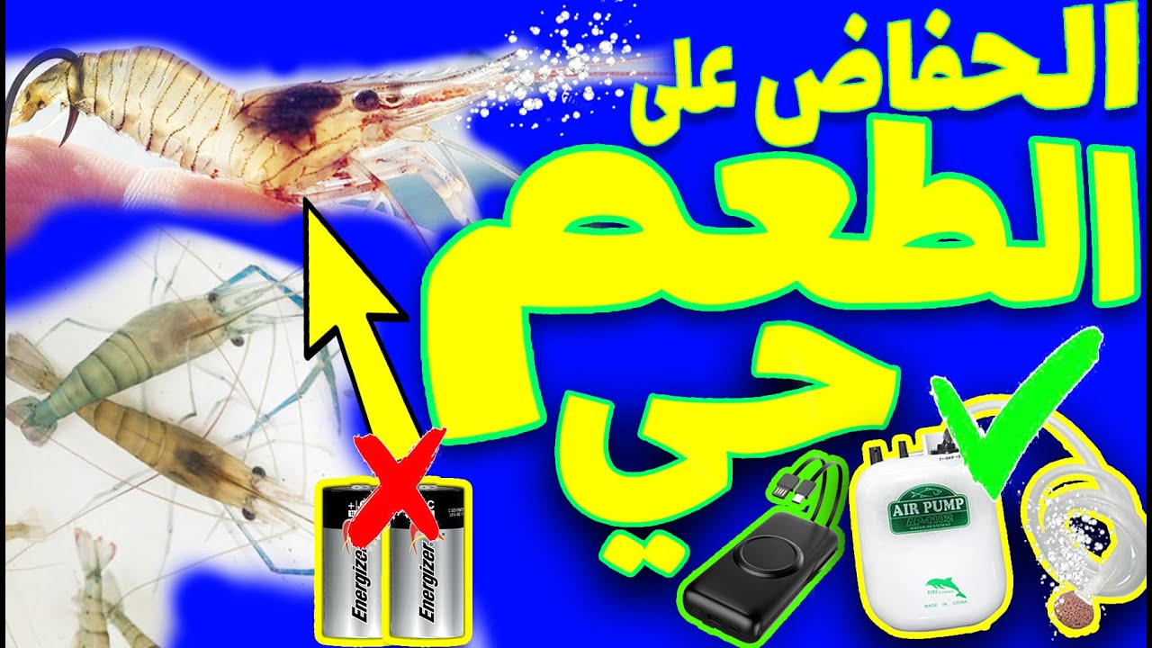 كيفية الحفاظ علي طعم الصيد