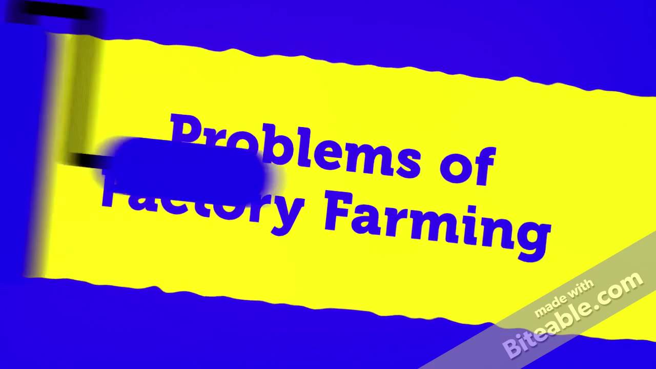 Problems of Factory Farming