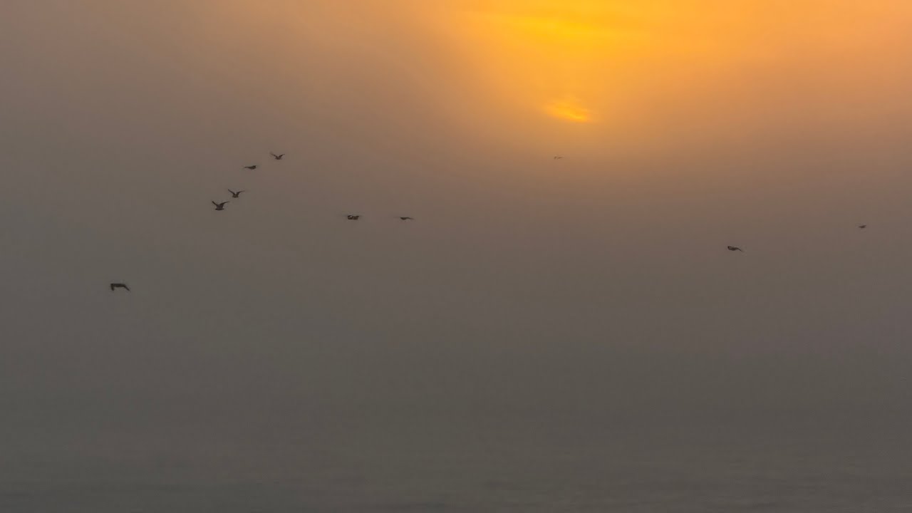 Santa Cruz fog back rolls in and extinguishes the sun