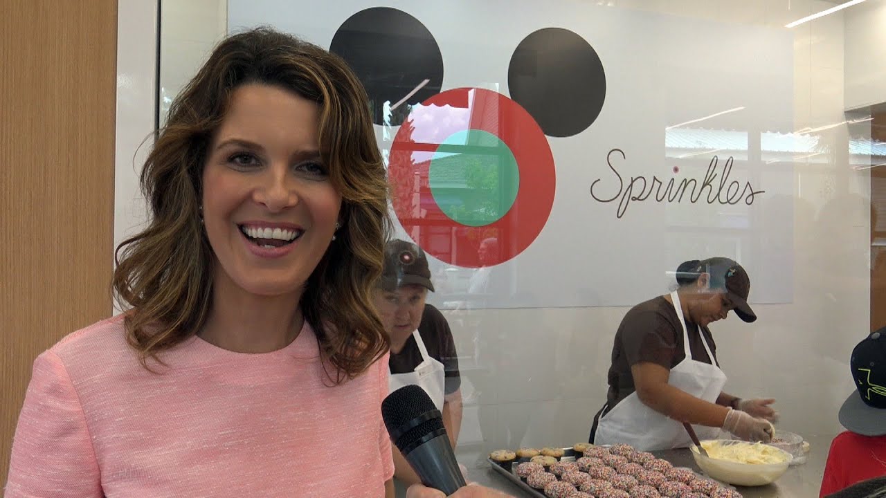 Sprinkles Founder Candace Nelson Interview - How the Cupcake ATM happened and More - Disney Springs
