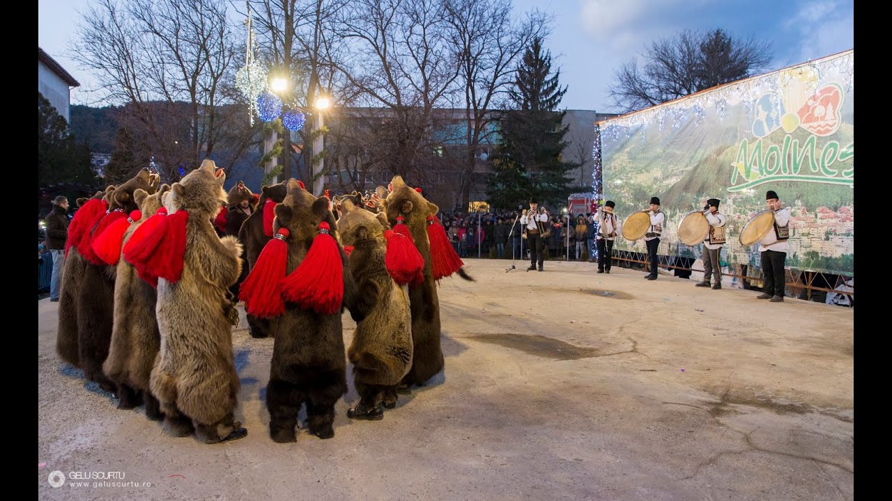 Ursii lui Ghinet la Moinesti 2024