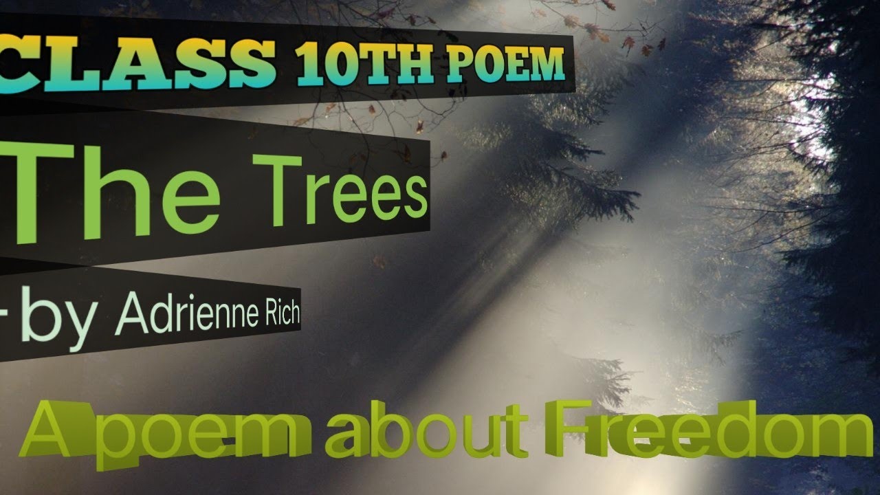 Class 10th poem The Trees...