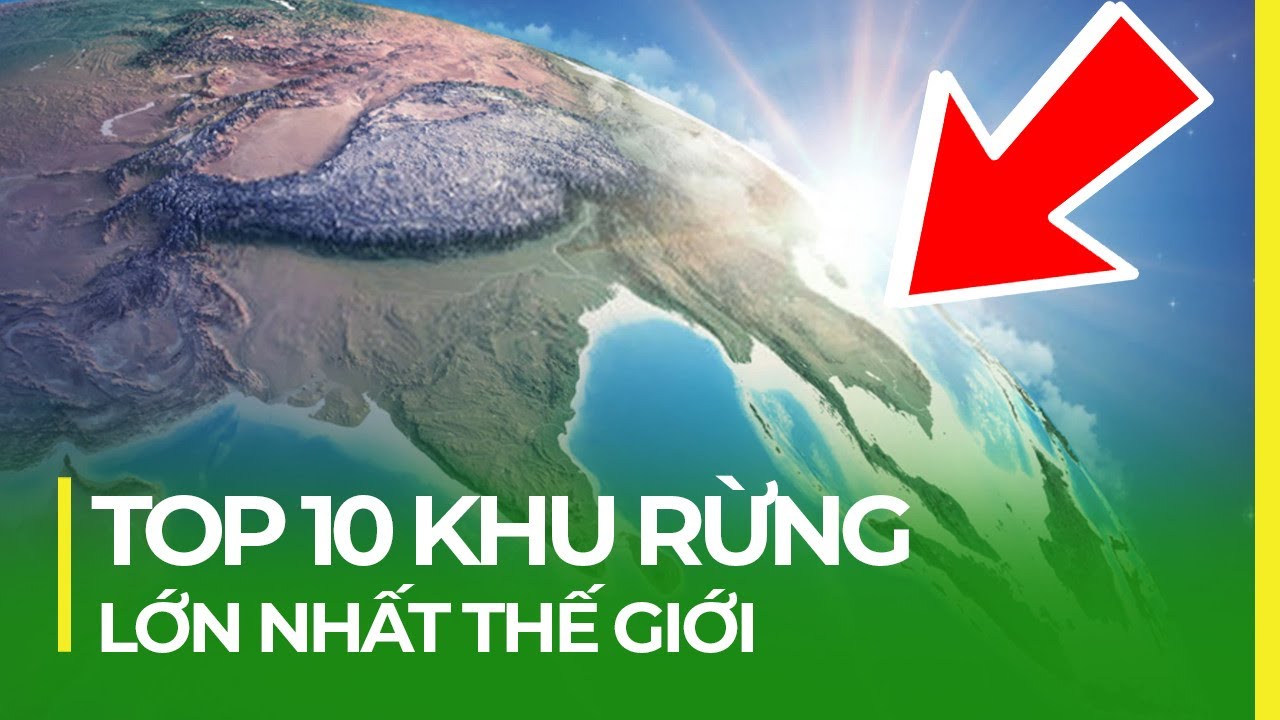 TOP 10 KHU RỪNG LỚN NHẤT THẾ GIỚI