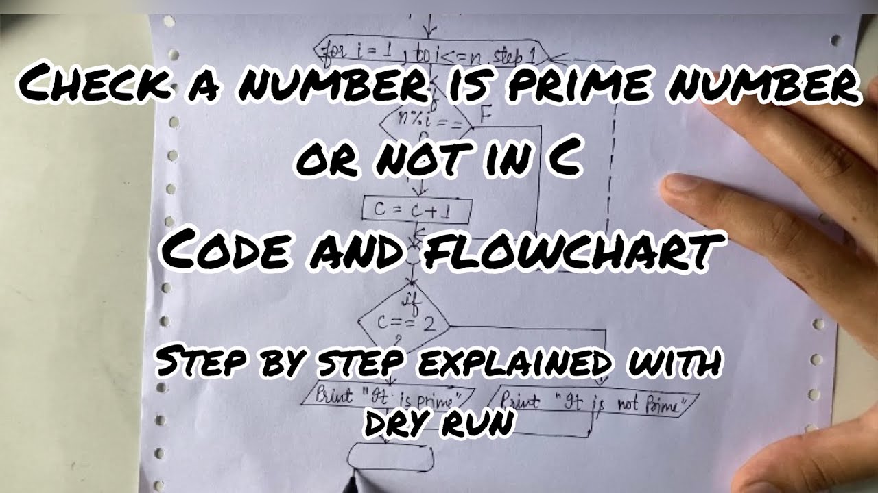 C program to check if a number is prime or not | Code and flowchart | Step by step | YourStudyGuide