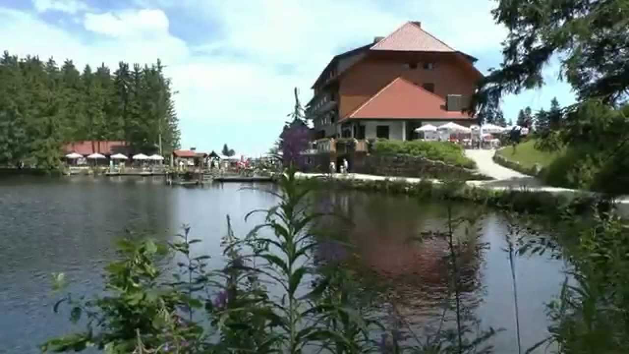 Reizen Zuidelijk Zwarte Woud