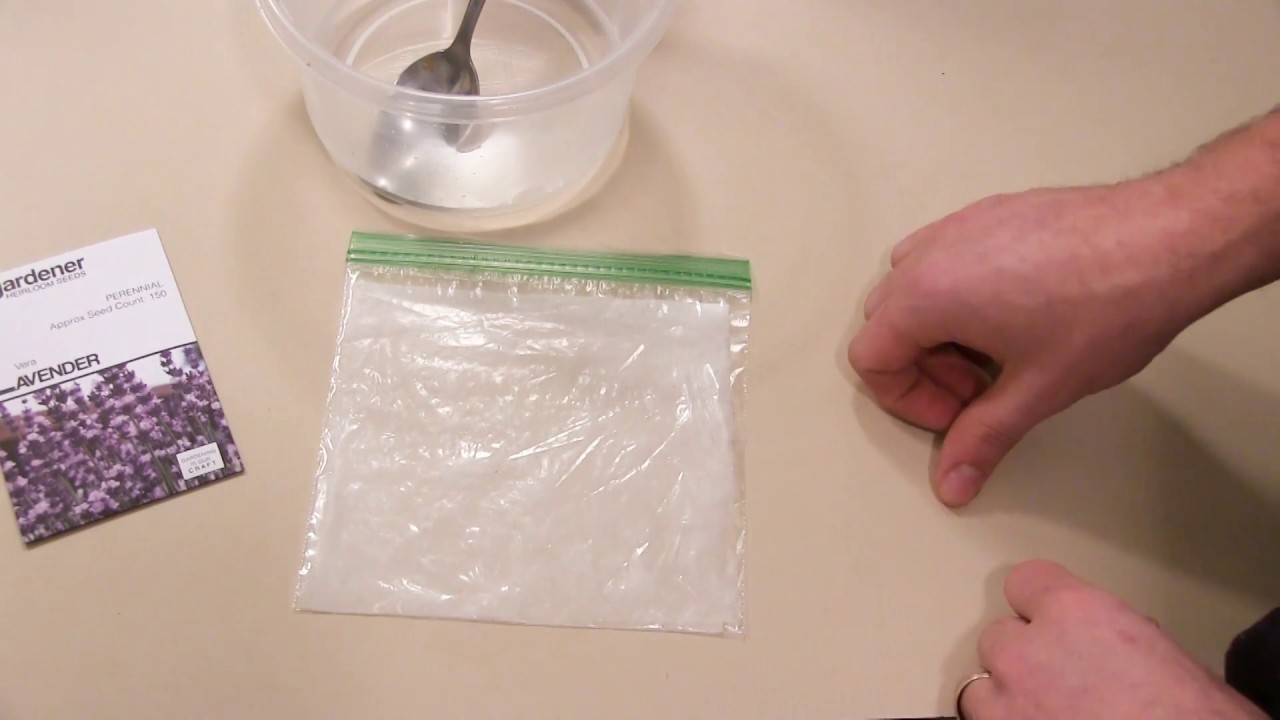 How and Why to Stratify Seeds - What is it & What Seeds Need It?